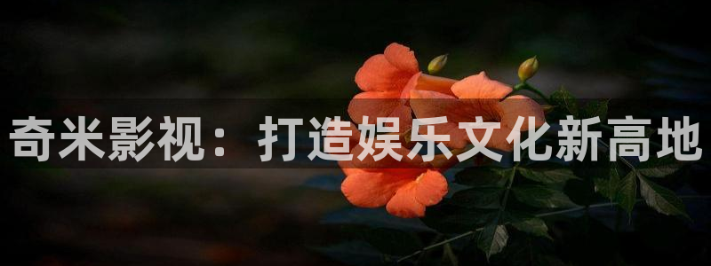草莓视频丝瓜：奇米影视：打造娱乐文化新高地