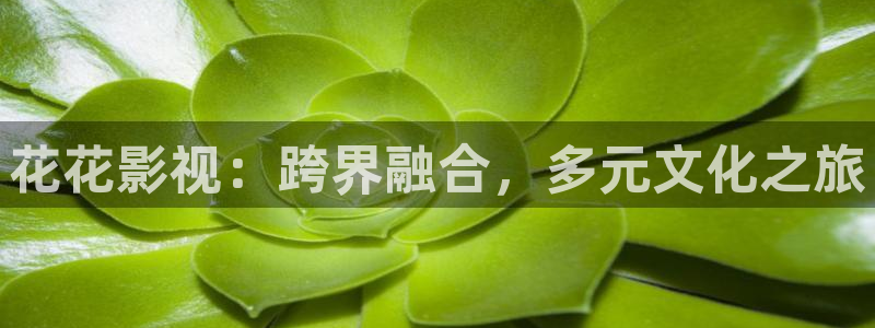 草莓小视频app：花花影视：跨界融合，多元文化之旅