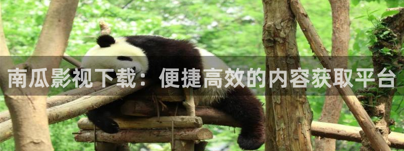 草莓视频在线观看下载污ios：南瓜影视下载：便捷高效的内容获取平台