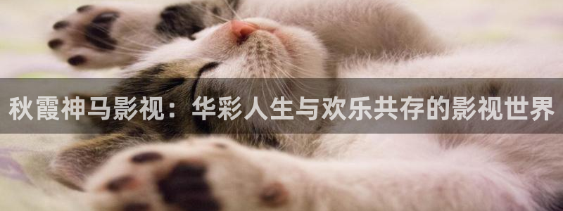 草莓视频免费观看完整版：秋霞神马影视：华彩人生与欢乐共存的影视世界