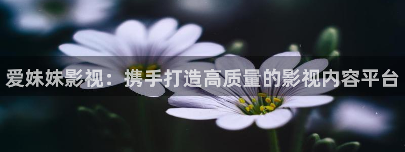 草莓视频无限观看：爱妹妹影视：携手打造高质量的影视内容平台