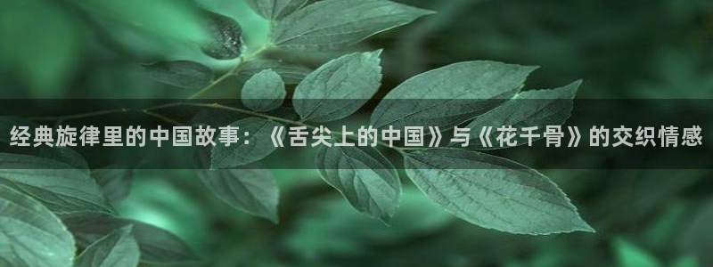 草莓 视频app：经典旋律里的中国故事：《舌尖上的中国》与《花千骨》的交织情感