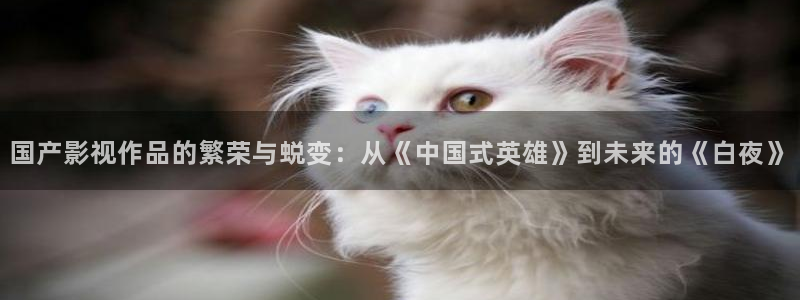 在线观看网站草莓：国产影视作品的繁荣与蜕变：从《中国式英雄》到未来的《白夜》